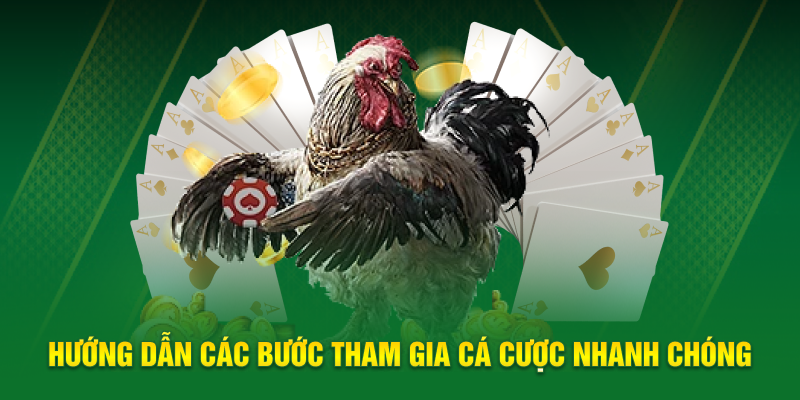 Hướng dẫn các bước tham gia cá cược nhanh chóng